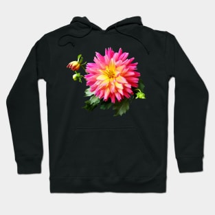 Vivid Pink and Yellow Dahlia Hoodie